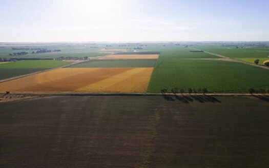 Big Red Farms