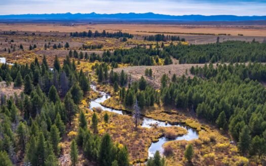 Arrow Ranch Montana